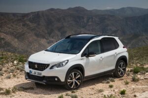Nur jung richtig gut: Der Peugeot 2008 beim Tüv