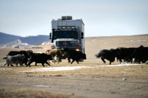 Im Mercedes Zetros durch die eisige Wildnis der Mongolei